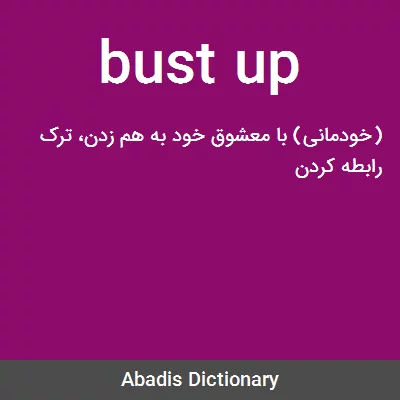 معنی bust up